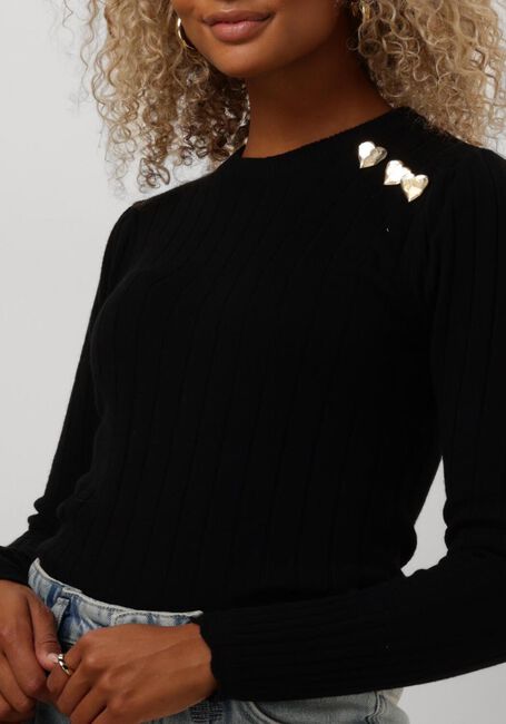Zwarte FABIENNE CHAPOT Trui BANDA PULLOVER - large