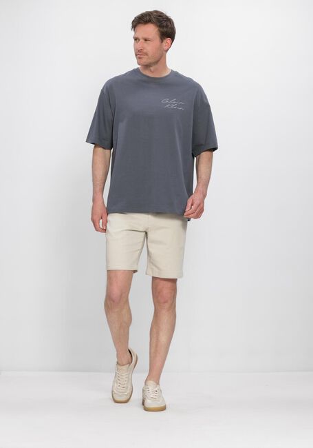 Beige DSTREZZED Korte broek DS_LANCASTER SHORTS - large