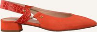 Oranje MARIPE Slingbacks 30314 - medium