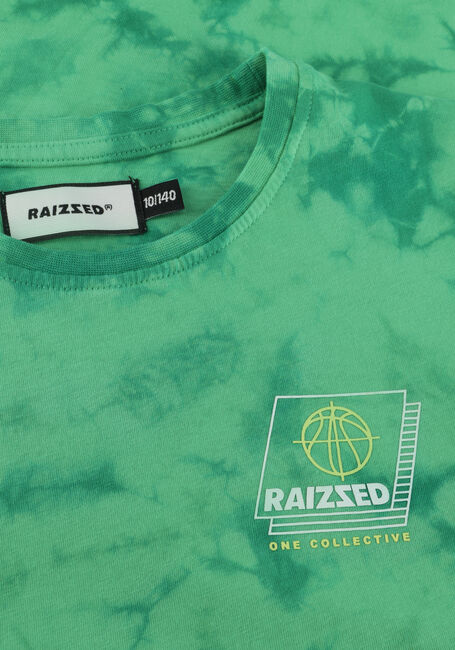 Groene RAIZZED T-shirt SHIELDS - large