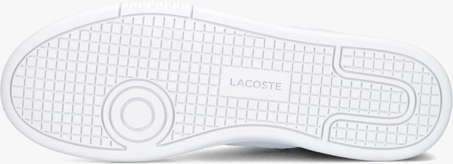 Witte LACOSTE Lage sneakers LINESET - large