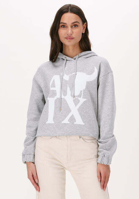Grijze ALIX THE LABEL Trui ALIX BULL HOODIE - large