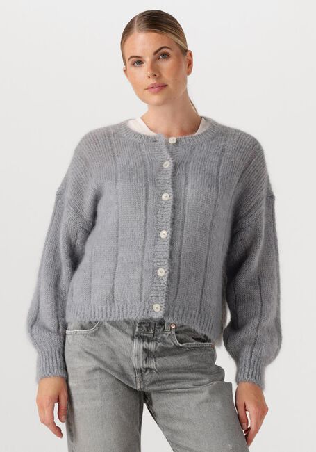 Blauwe DES PETITS HAUTS Vest CHOUETTE - large