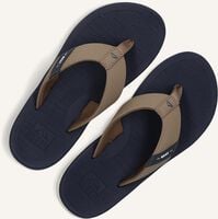 Taupe REEF Teenslippers SANTA ANA BOYS Taupe REEF Teenslippers SANTA ANA BOYS - medium