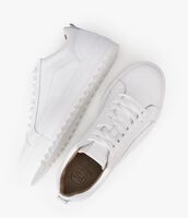 Witte PS POELMAN Lage sneakers NIGEL - medium
