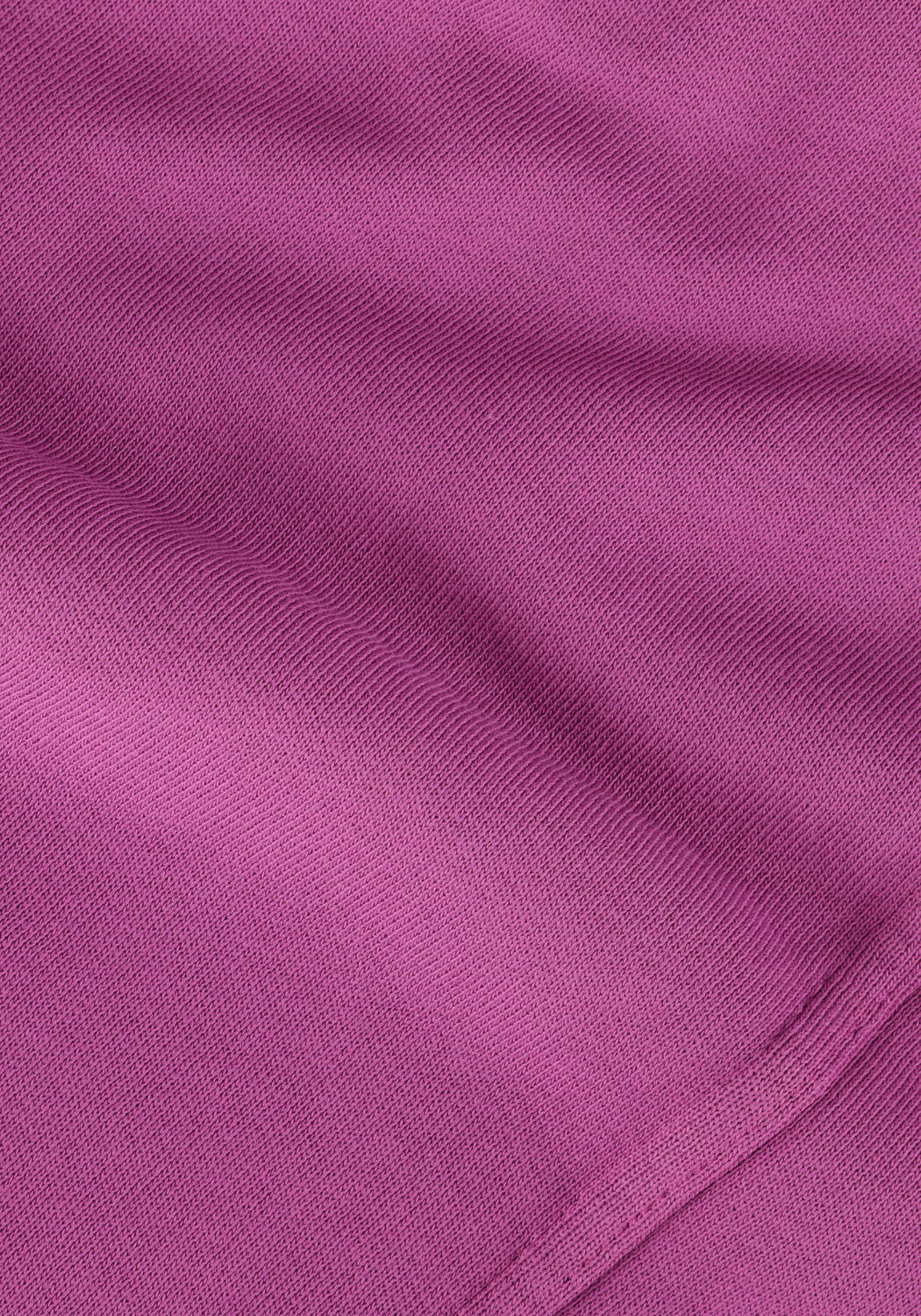 Paarse CIRCLE OF TRUST Trui HAILEY SWEAT - large