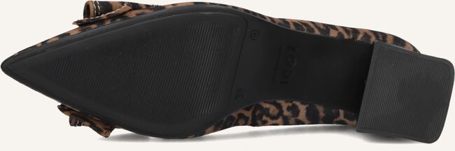 Bruine LODI Pumps CHENERI Bruine LODI Pumps CHENERI - large