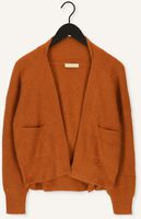 Bruine MES DEMOISELLES Vest CARI Bruine MES DEMOISELLES Vest CARI - medium