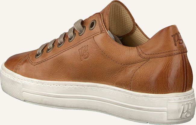 Camel PAUL GREEN Lage sneakers 4841 Camel PAUL GREEN Lage sneakers 4841 - large