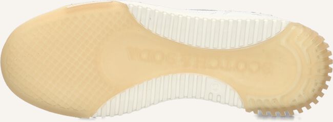 Witte SCOTCH & SODA Lage sneakers NEW CUP Witte SCOTCH & SODA Lage sneakers NEW CUP - large