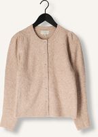 NOTRE-V NV-GRACE NOTRE-V NV-GRACE - medium
