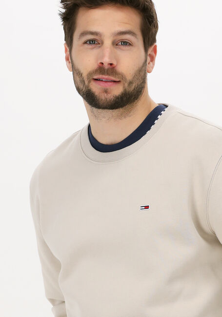 Beige TOMMY JEANS Sweater TJM REGULAR FLEECE C NECK - large