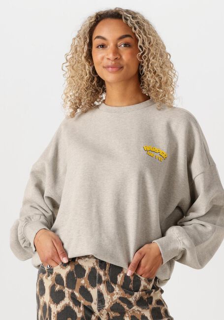 Grijze HARPER & YVE Sweater ROLLTHEDICE-SW - large