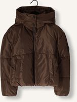 Bruine CARS JEANS Gewatteerde jas RYTA Bruine CARS JEANS Gewatteerde jas RYTA - medium