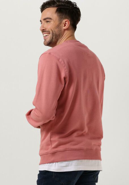 Roze SCOTCH & SODA Trui ESSENTIAL LOGO BADGE SWEATSHIRT - large