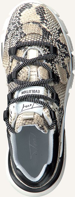 Beige TORAL Lage sneakers 11101 Beige TORAL Lage sneakers 11101 - large