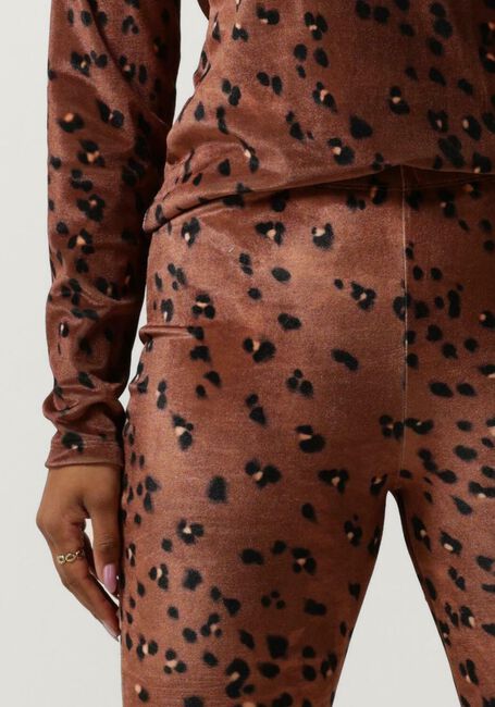 Bruine CATWALK JUNKIE Flared broek TR MEGAN - large