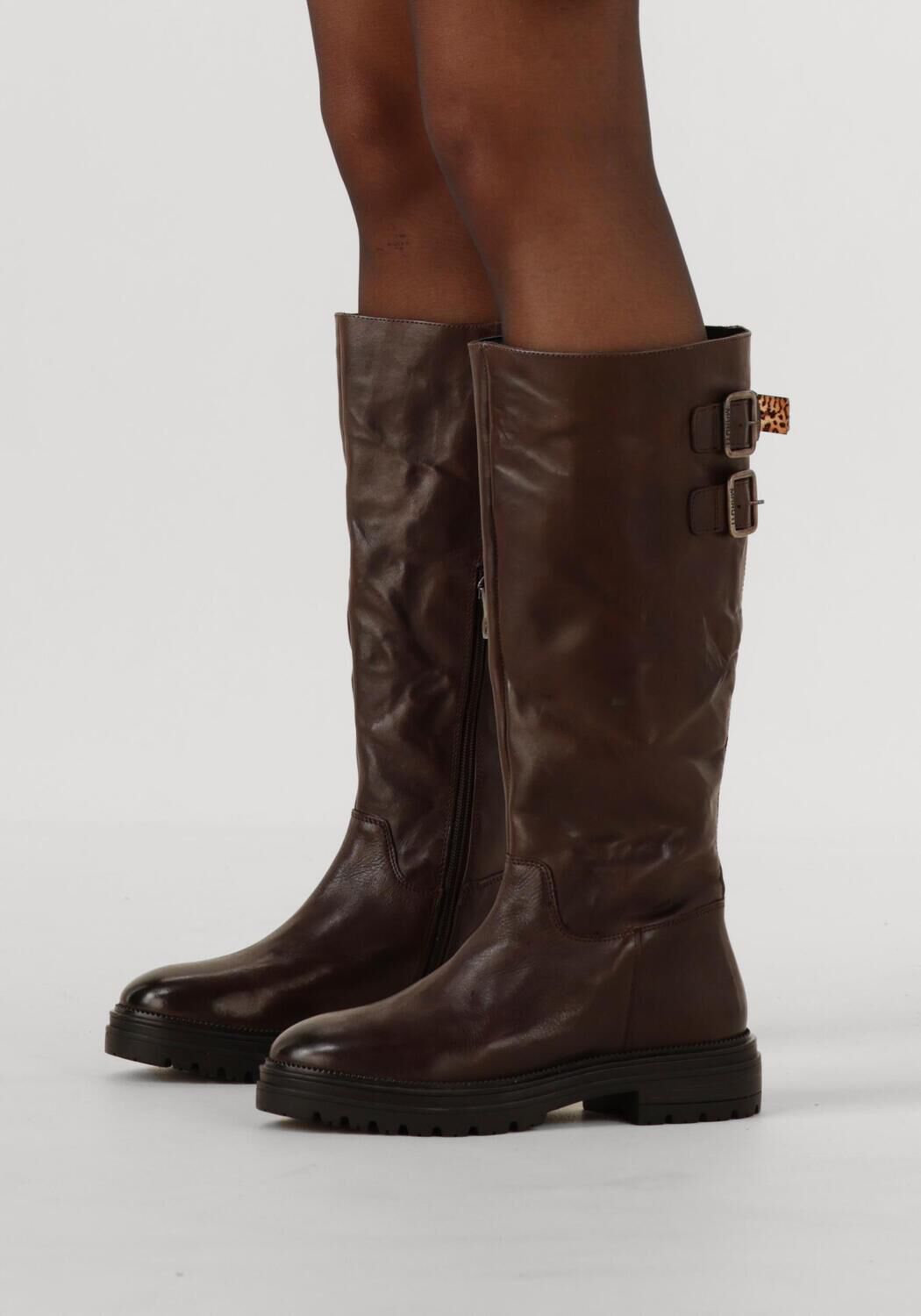 Bruine MARUTI Hoge laarzen BRIONY - large