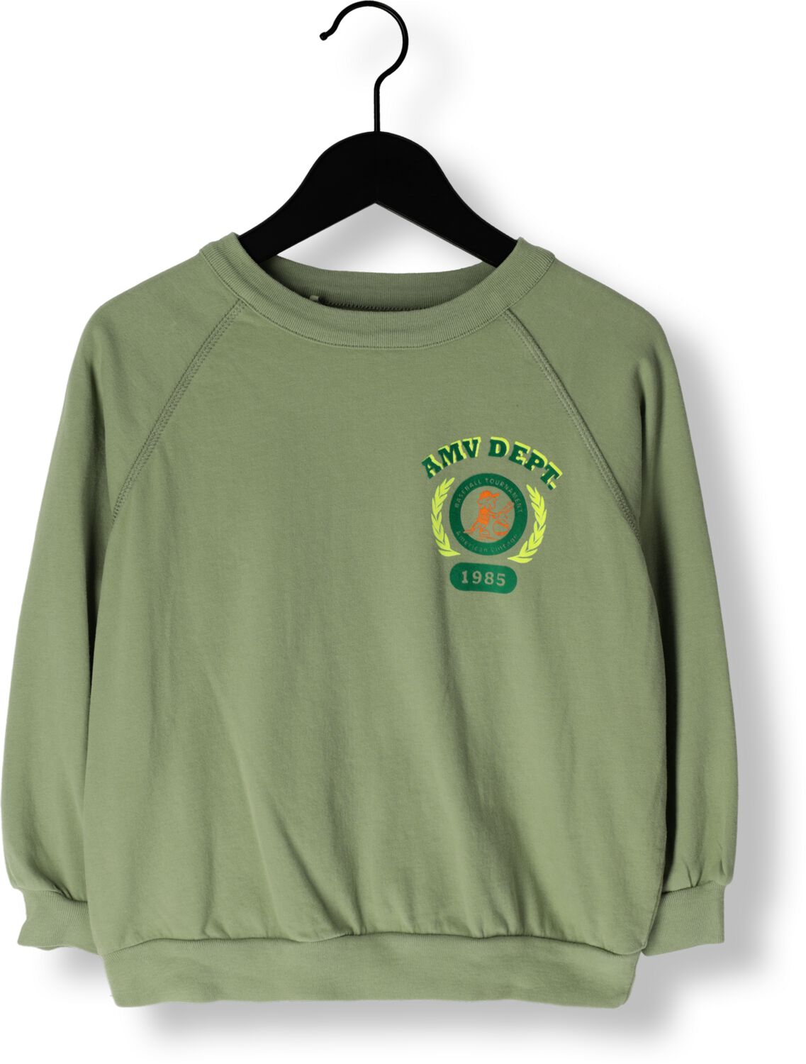 AMERICAN VINTAGE Jongens Truien & Vesten Fazy 1 Groen