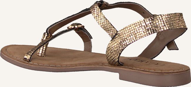 Gouden LAZAMANI Platte sandalen 75.501 Gouden LAZAMANI Platte sandalen 75.501 - large