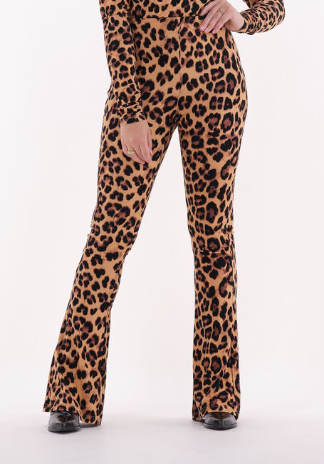 Bruine HARPER & YVE Flared broek LEXIE-PA - large