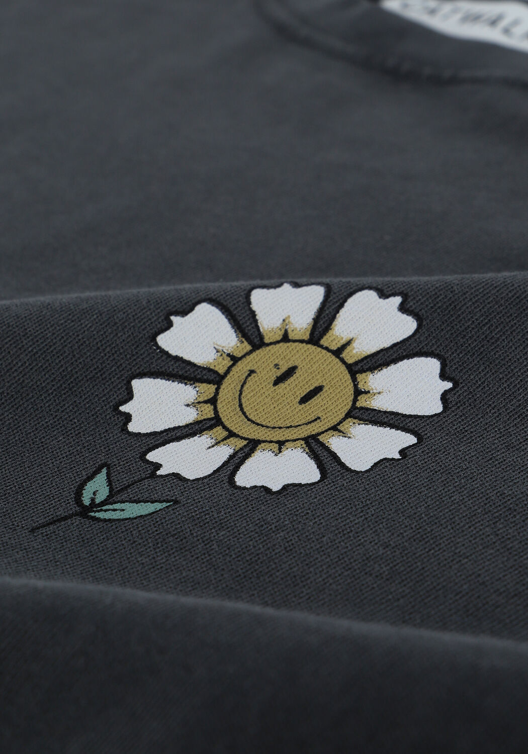 Grijze CATWALK JUNKIE T-shirt TS ALL GOOD - large