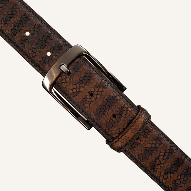 Bruine REHAB Riem BELT SNAKE STRIPES Bruine REHAB Riem BELT SNAKE STRIPES - large