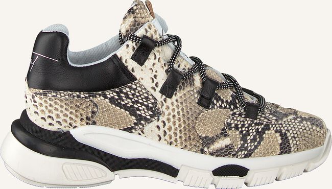 Beige TORAL Lage sneakers 11101 Beige TORAL Lage sneakers 11101 - large