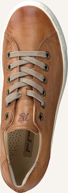 Camel PAUL GREEN Lage sneakers 4841 Camel PAUL GREEN Lage sneakers 4841 - large