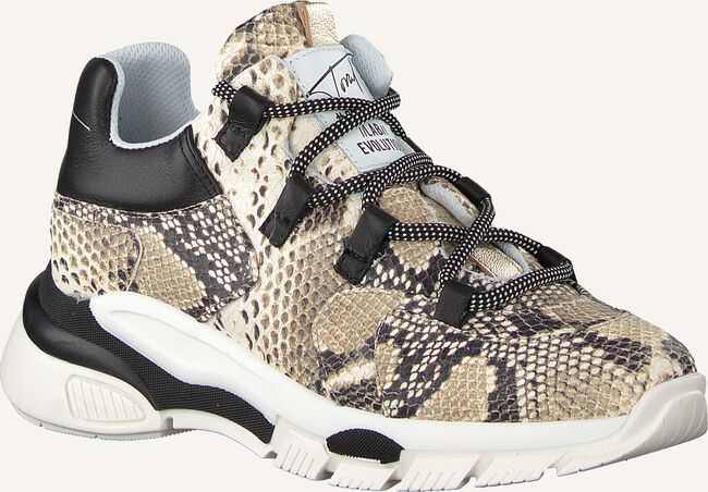 Beige TORAL Lage sneakers 11101 Beige TORAL Lage sneakers 11101 - large