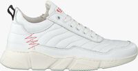 Witte RED-RAG Lage sneakers 15293 - medium