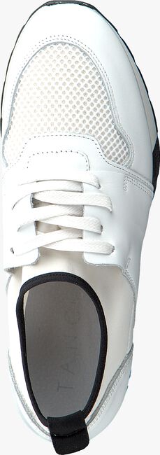 Witte TANGO Lage sneakers OONA 21 - large