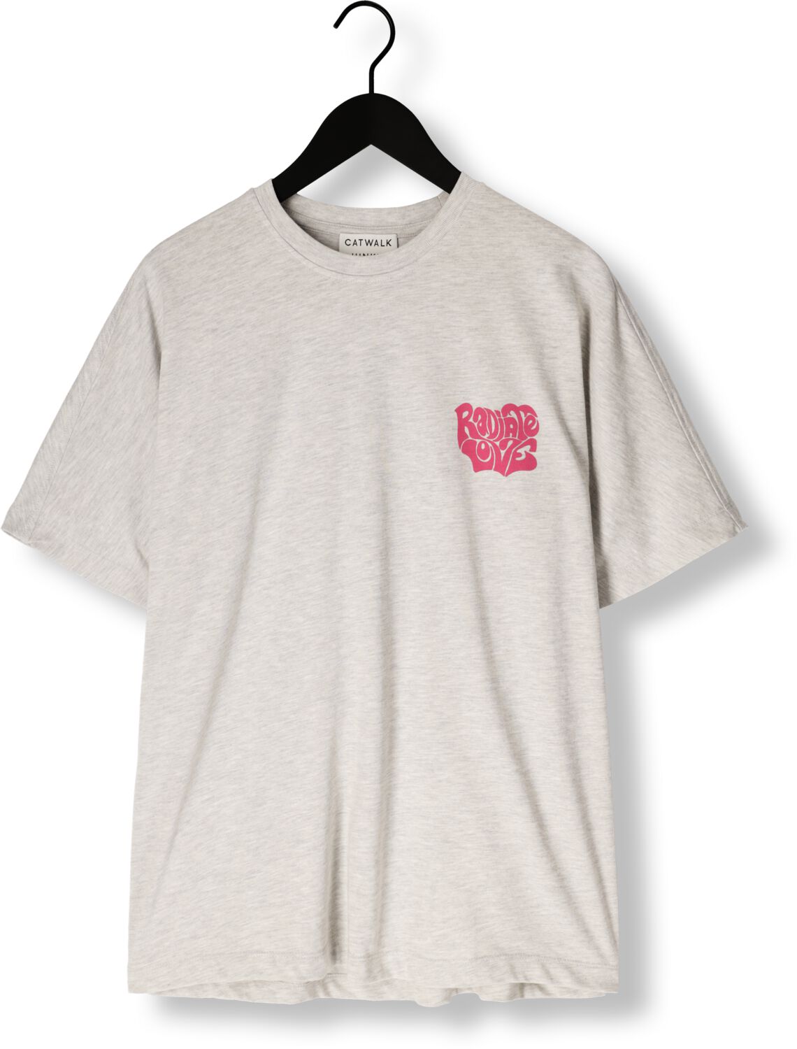 CATWALK JUNKIE Dames Tops & T-shirts Oversized Graphic Tshirt Grijs