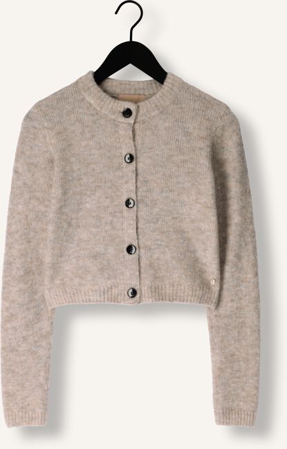 Grijze JOSH V Vest PATTY Grijze JOSH V Vest PATTY - large
