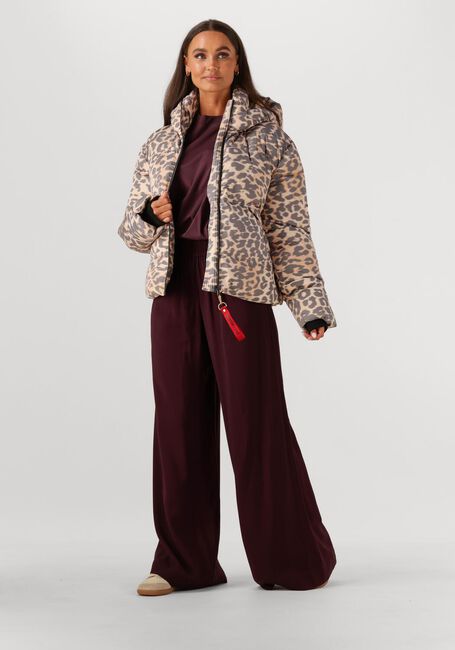 HARPER & YVE KARLY-CO-2 - large