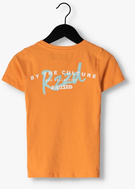 Oranje RAIZZED T-shirt SUNRAY - large