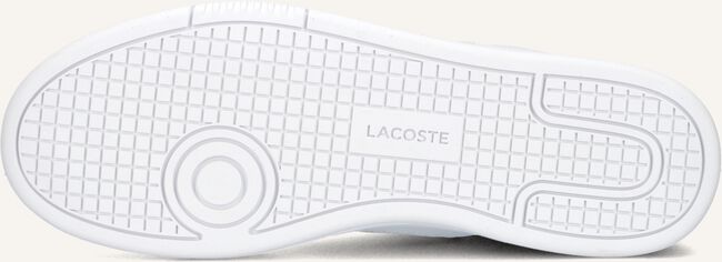 Witte LACOSTE Lage sneakers LINESET Witte LACOSTE Lage sneakers LINESET - large