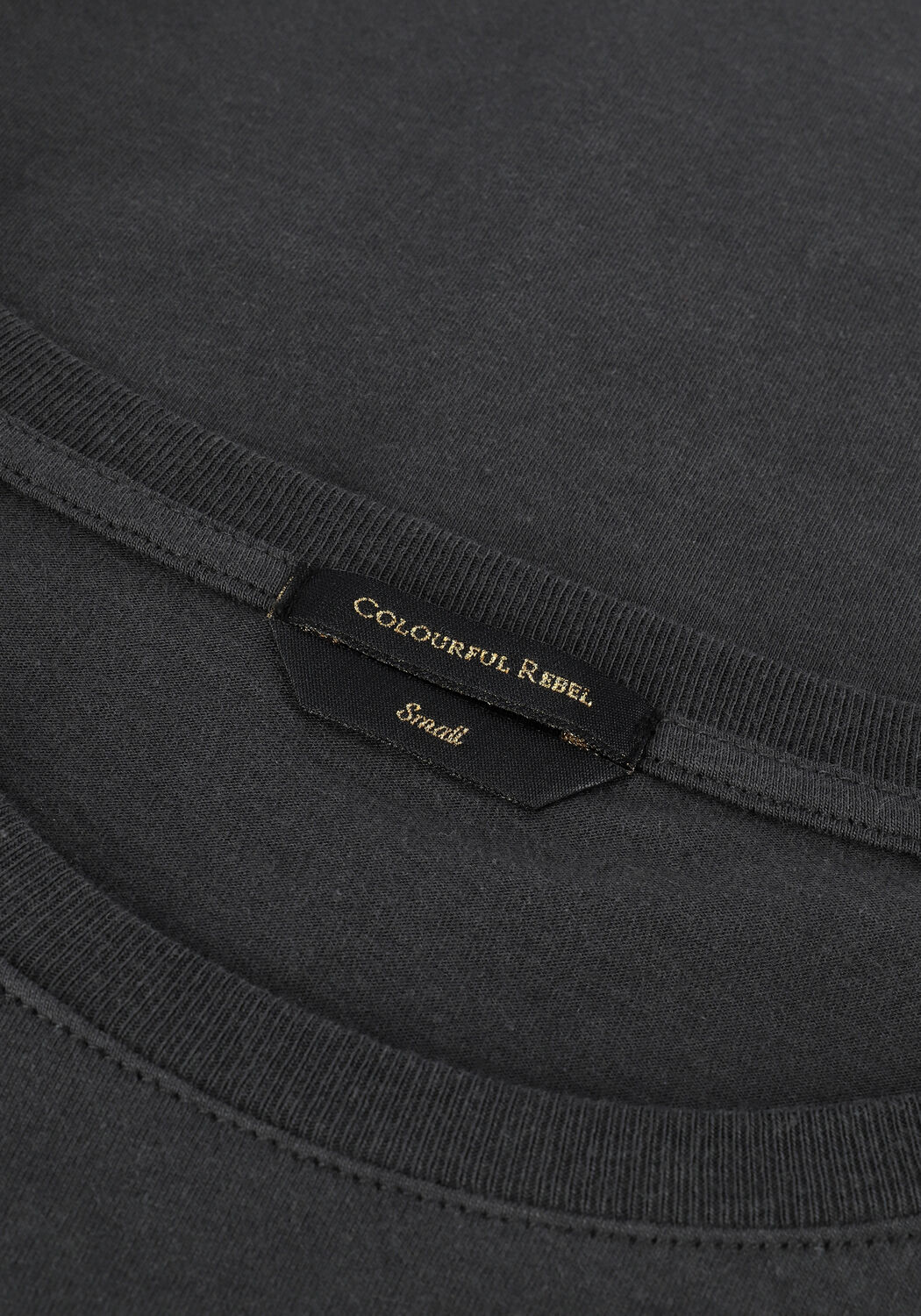 Grijze COLOURFUL REBEL T-shirt BORN LUCKY GLITTER CLASSIC TEE - large