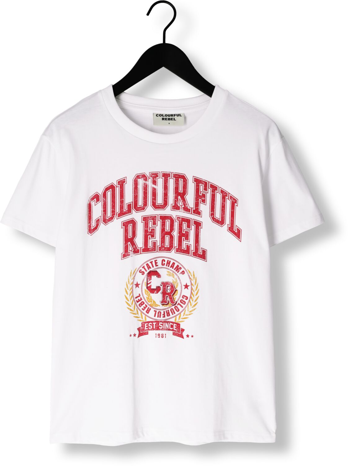 COLOURFUL REBEL Dames Tops & T-shirts Cr Varsity Loosefit Tee Wit