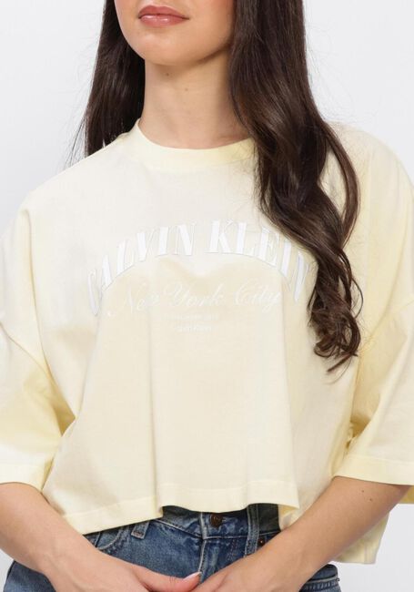 Groene CALVIN KLEIN T-shirt SS CROPPED BOXY HERITAGE CREST - large