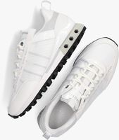 Witte CRUYFF Lage sneakers FEARIA DAMES  - medium