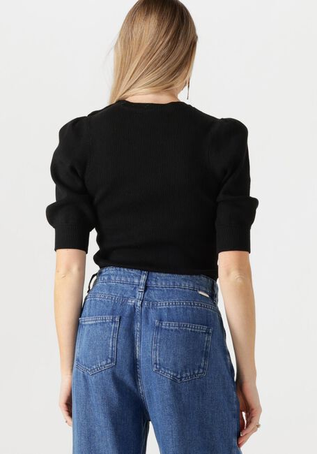 Zwarte FABIENNE CHAPOT Trui LILLIAN SHORT SLEEVE PULLOVER - large