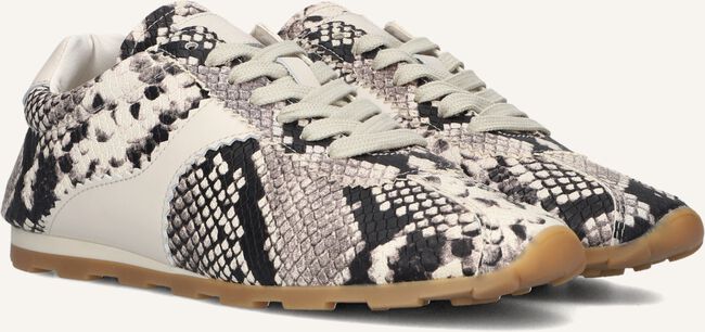 Beige TORAL Lage sneakers VINCI Beige TORAL Lage sneakers VINCI - large