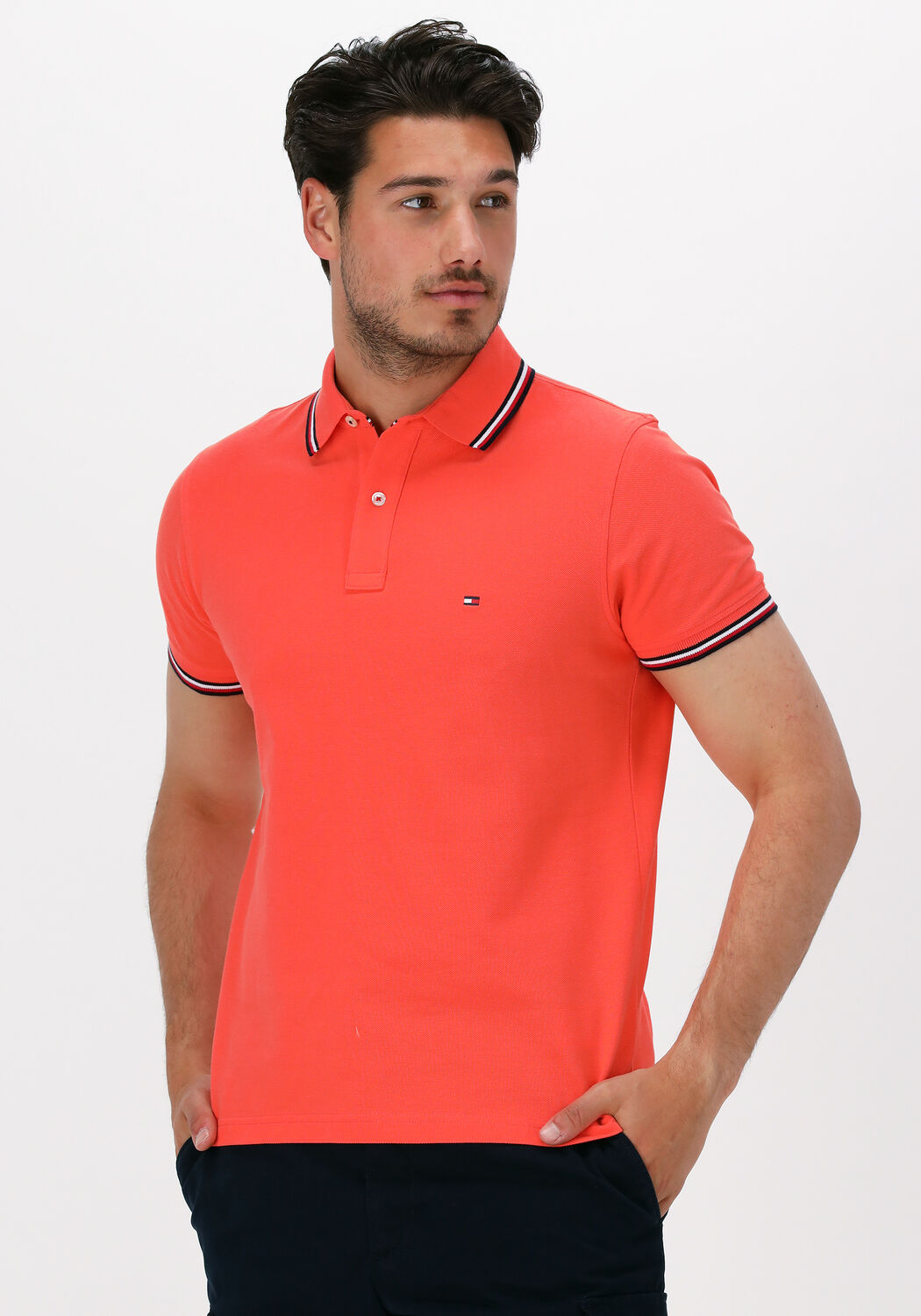 Tommy polo clearance