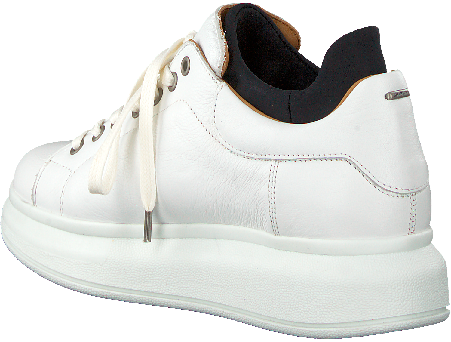 volt foam