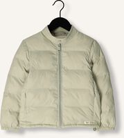 Groene BAJE STUDIO Gewatteerde jas ROCKS Groene BAJE STUDIO Gewatteerde jas ROCKS - medium