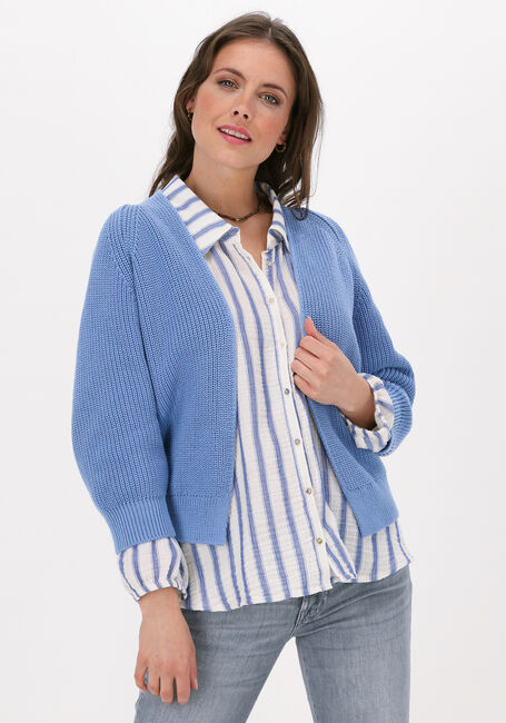 Lichtblauwe BELLAMY Vest TES - large