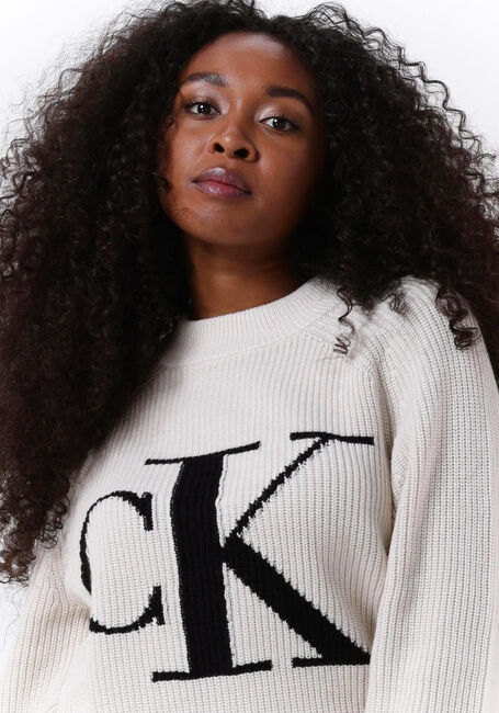 Beige CALVIN KLEIN Trui BLOWN UP CK HIGH NECK SWEATER - large