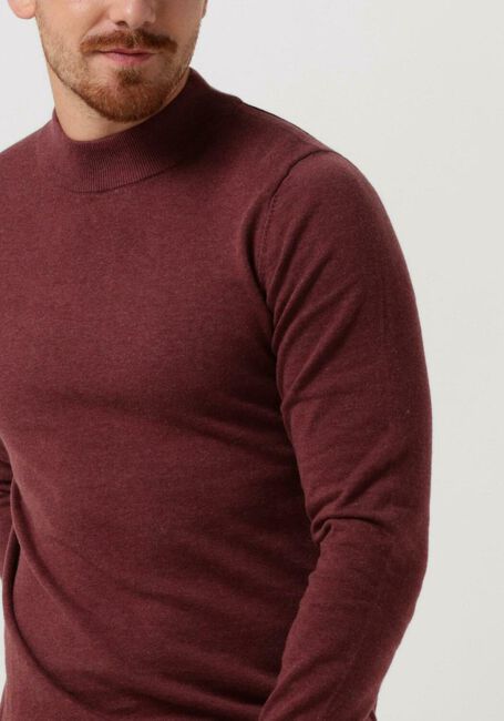 Roze SAINT STEVE Coltrui BEN - large