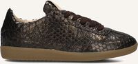 Bronzen FRED DE LA BRETONIERE Lage sneakers PEARL BASE Bronzen FRED DE LA BRETONIERE Lage sneakers PEARL BASE - medium